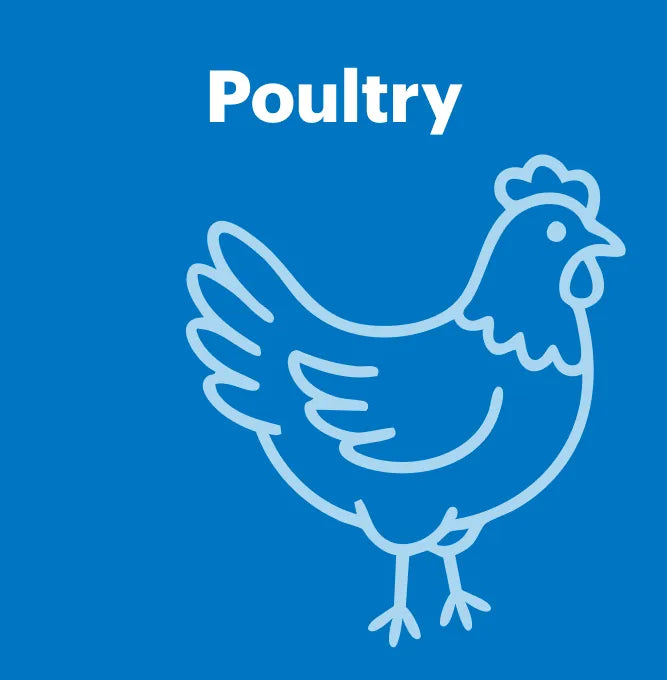Poultry
