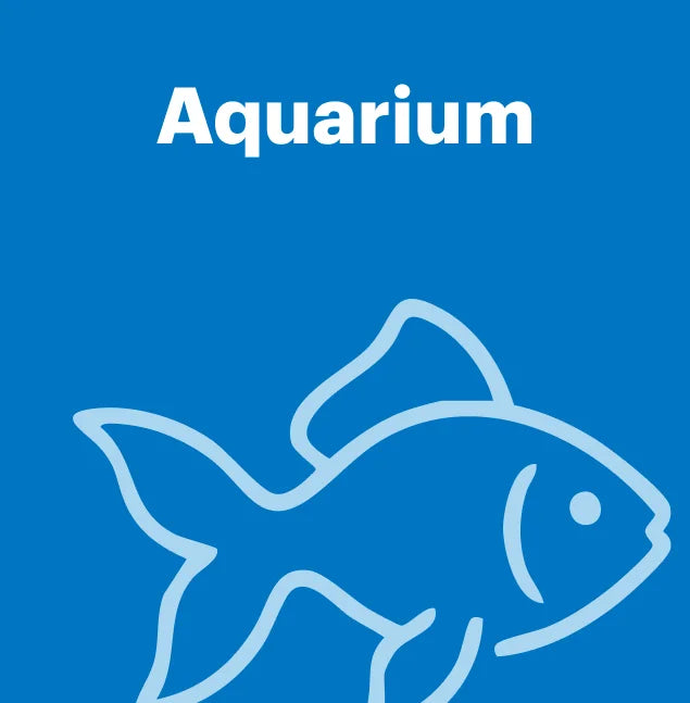 Aquarium-BimBimPet