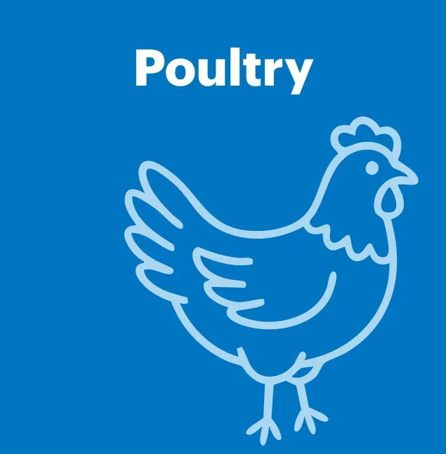 Poultry