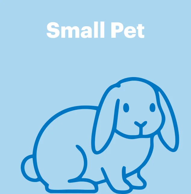 Small Pet-BimBimPet