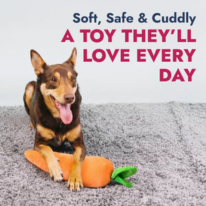 PetLou carrot plush dog toy with squeaker and crinkle paper for dogs