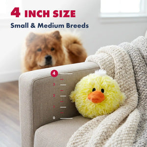 PetLou EZ squeaky chick plush ball dog toy 4 inch