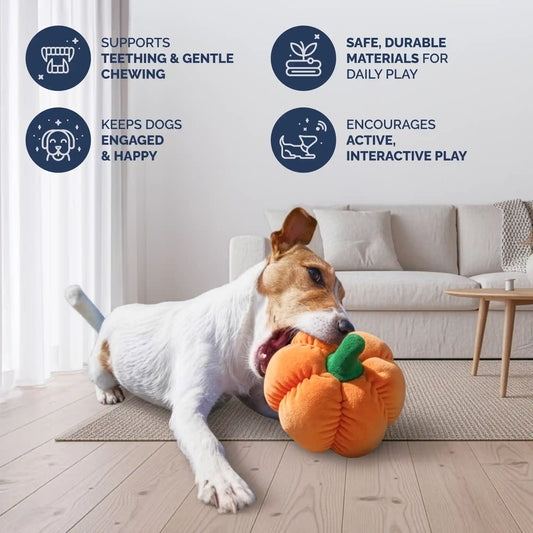 PetLou pumpkin plush dog toy 8 inch with squeaker