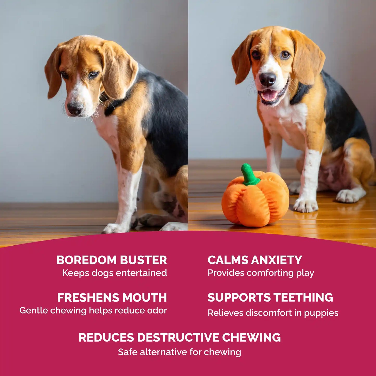 PetLou pumpkin plush dog toy 8 inch with squeaker