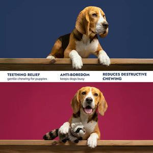 Raccoon plush dog toy