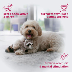 Raccoon plush dog toy