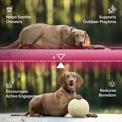 Fleece ball dog toy