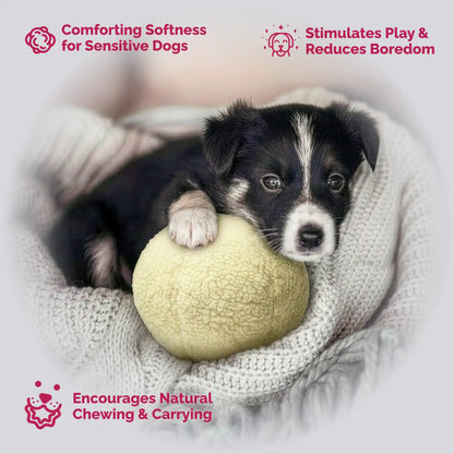 Fleece ball dog toy