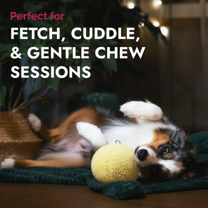 Fleece ball dog toy