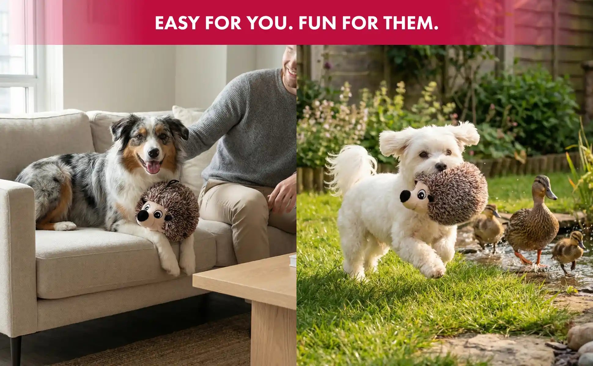 Hedgehog squeaky dog ball