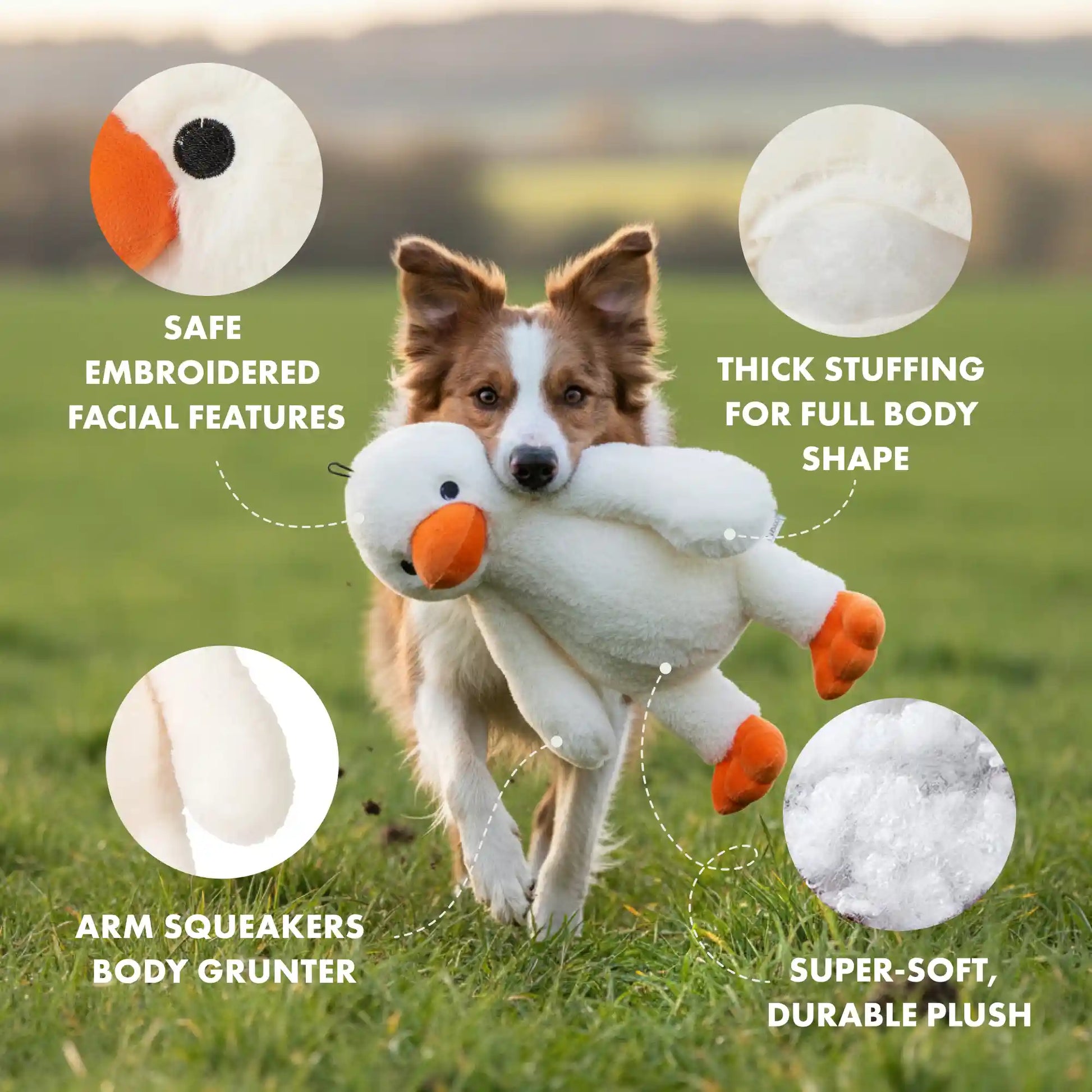 Duck plush dog toy