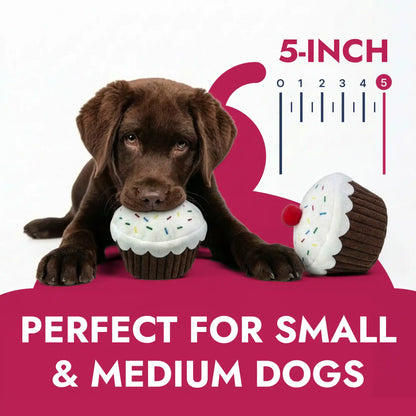 Cupcake plush dog toy
