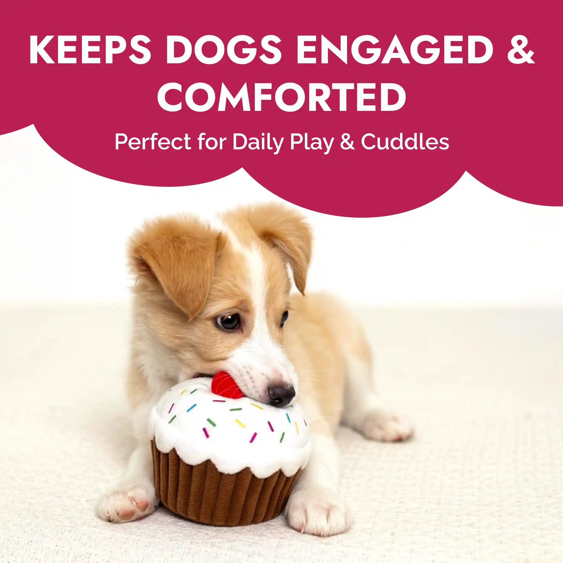 Cupcake plush dog toy