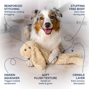 Stuffingless rabbit dog toy