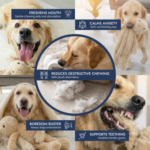 Stuffingless rabbit dog toy