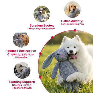 Floppy rabbit dog toy