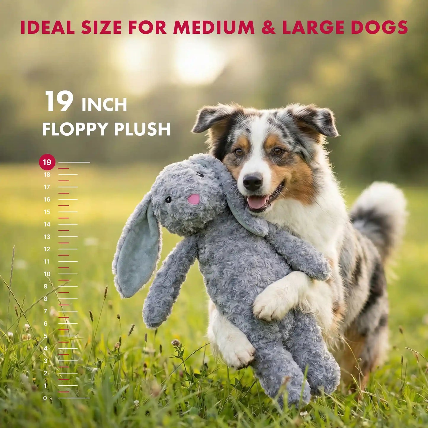 Floppy rabbit dog toy