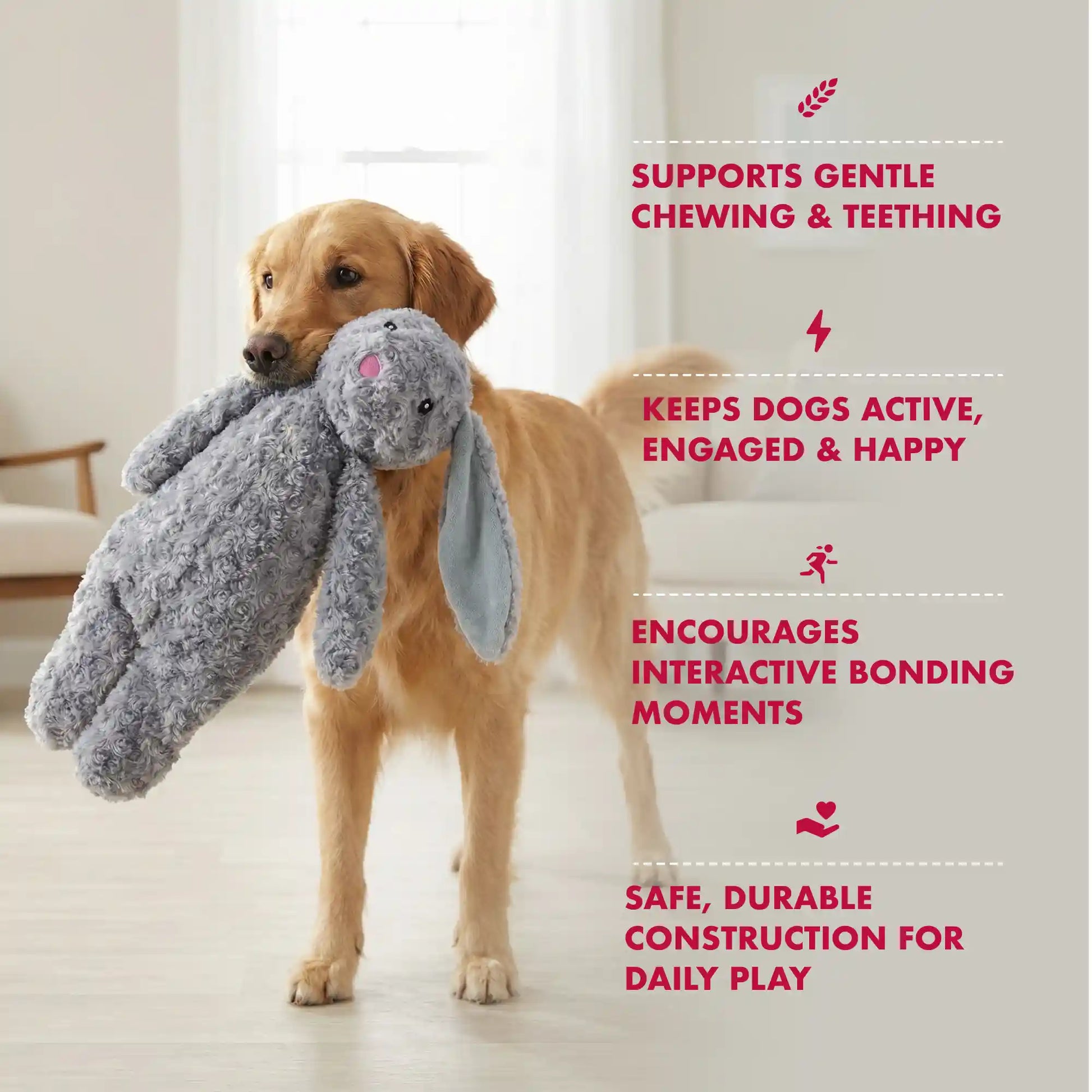 Floppy rabbit dog toy