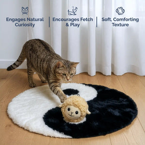 Lamb squeaky dog ball