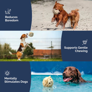 Lamb squeaky dog ball