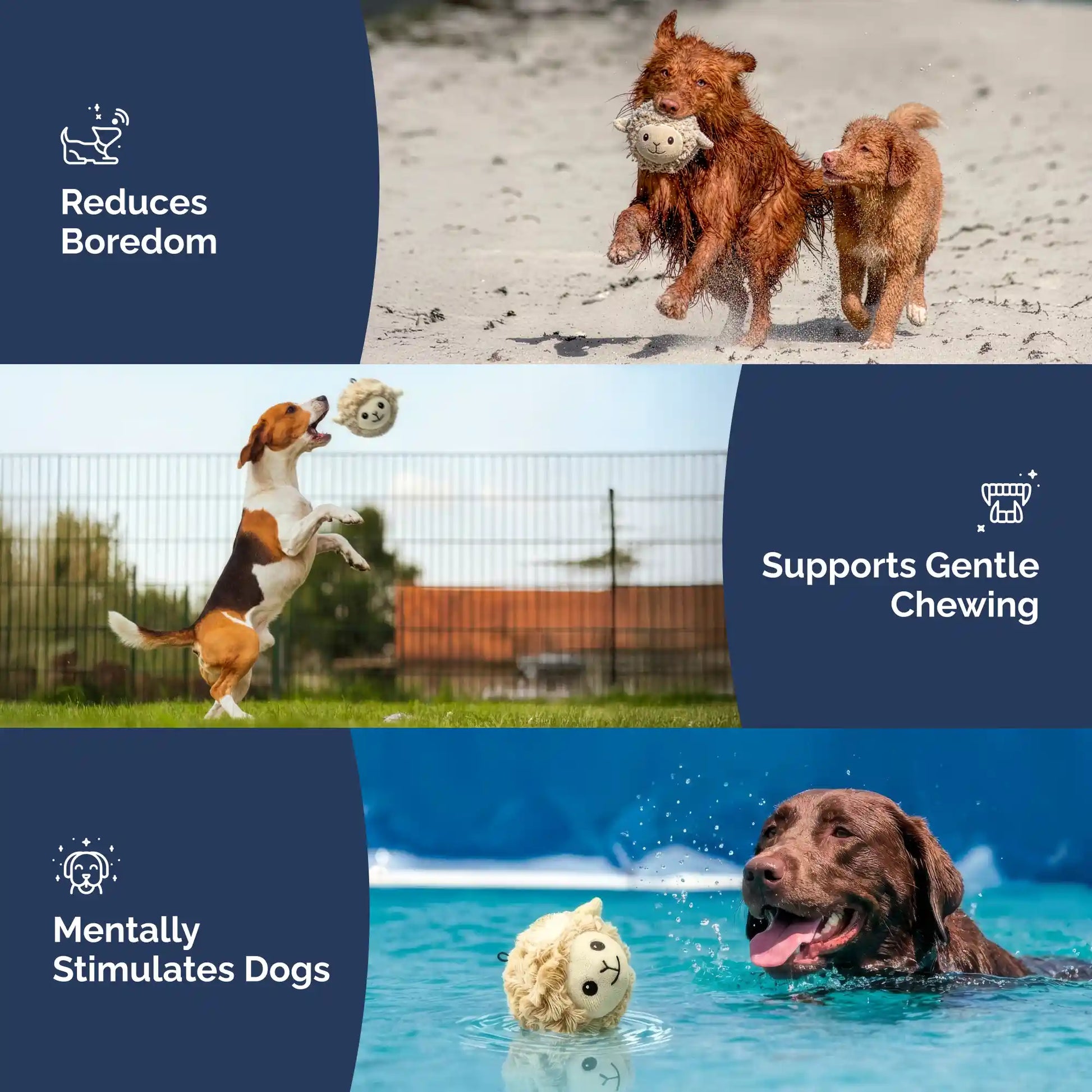 Lamb squeaky dog ball