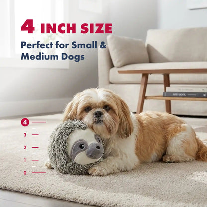 Sloth squeaky dog ball
