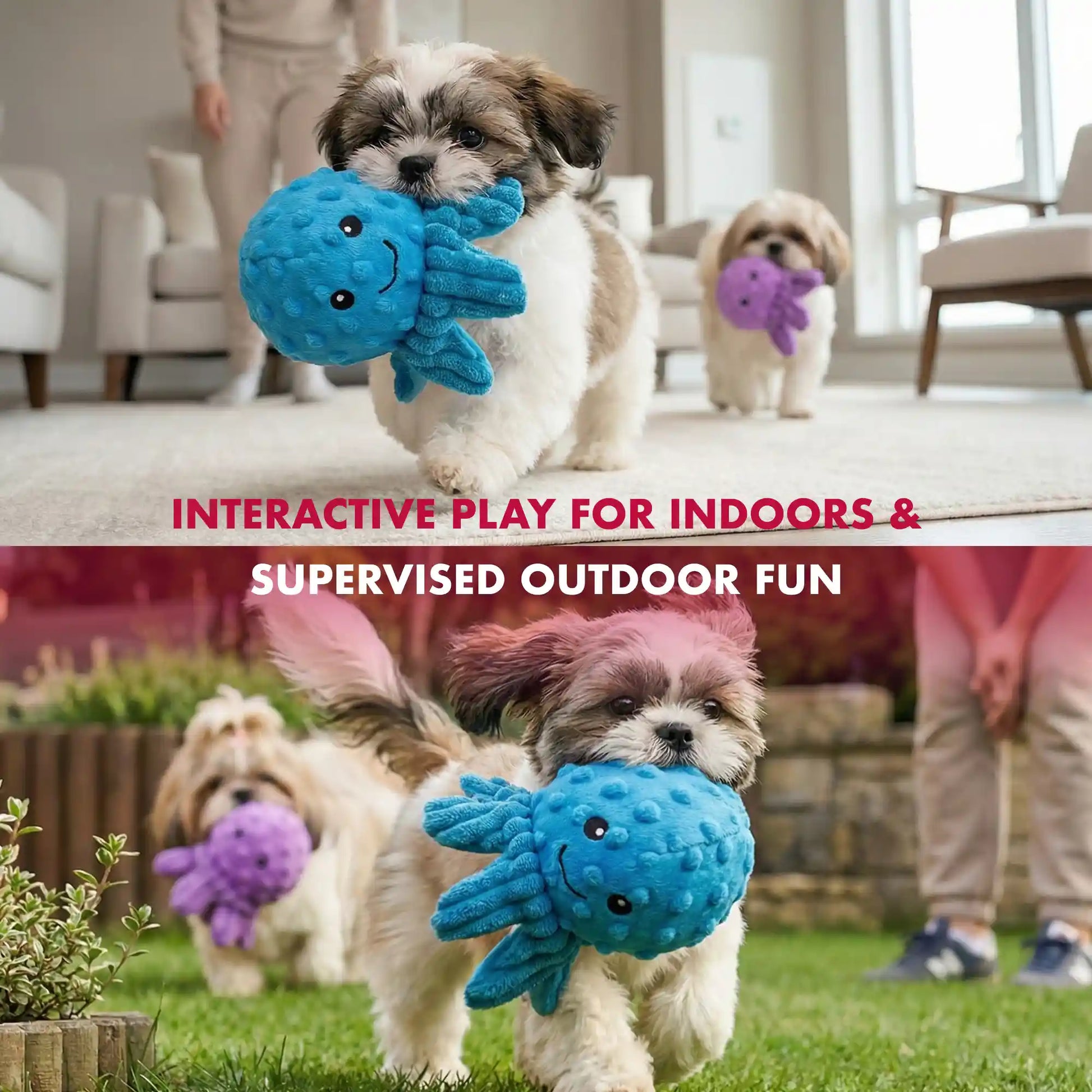 PetLou octopus EZ squeaky ball dog toy 4 inch pack of 5