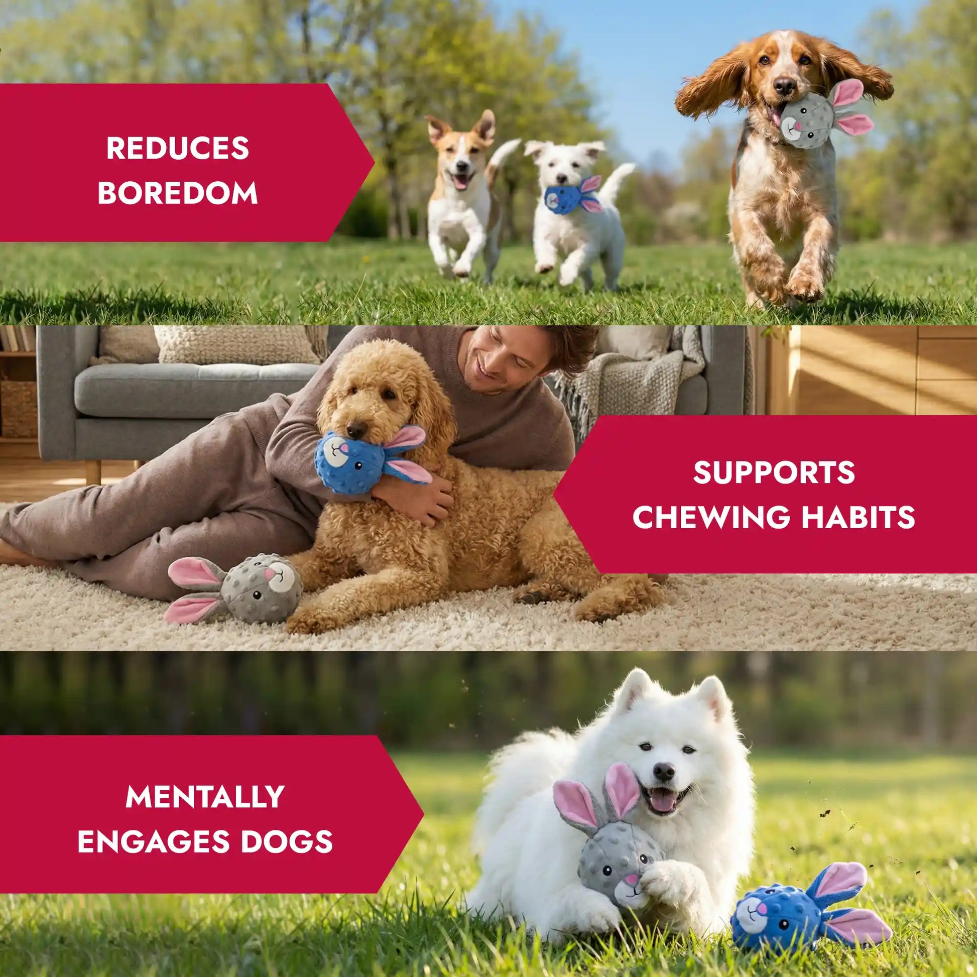 Rabbit squeaky dog ball