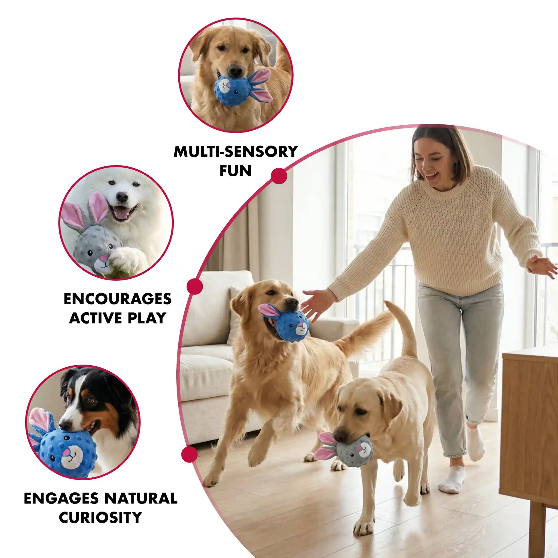 Rabbit squeaky dog ball