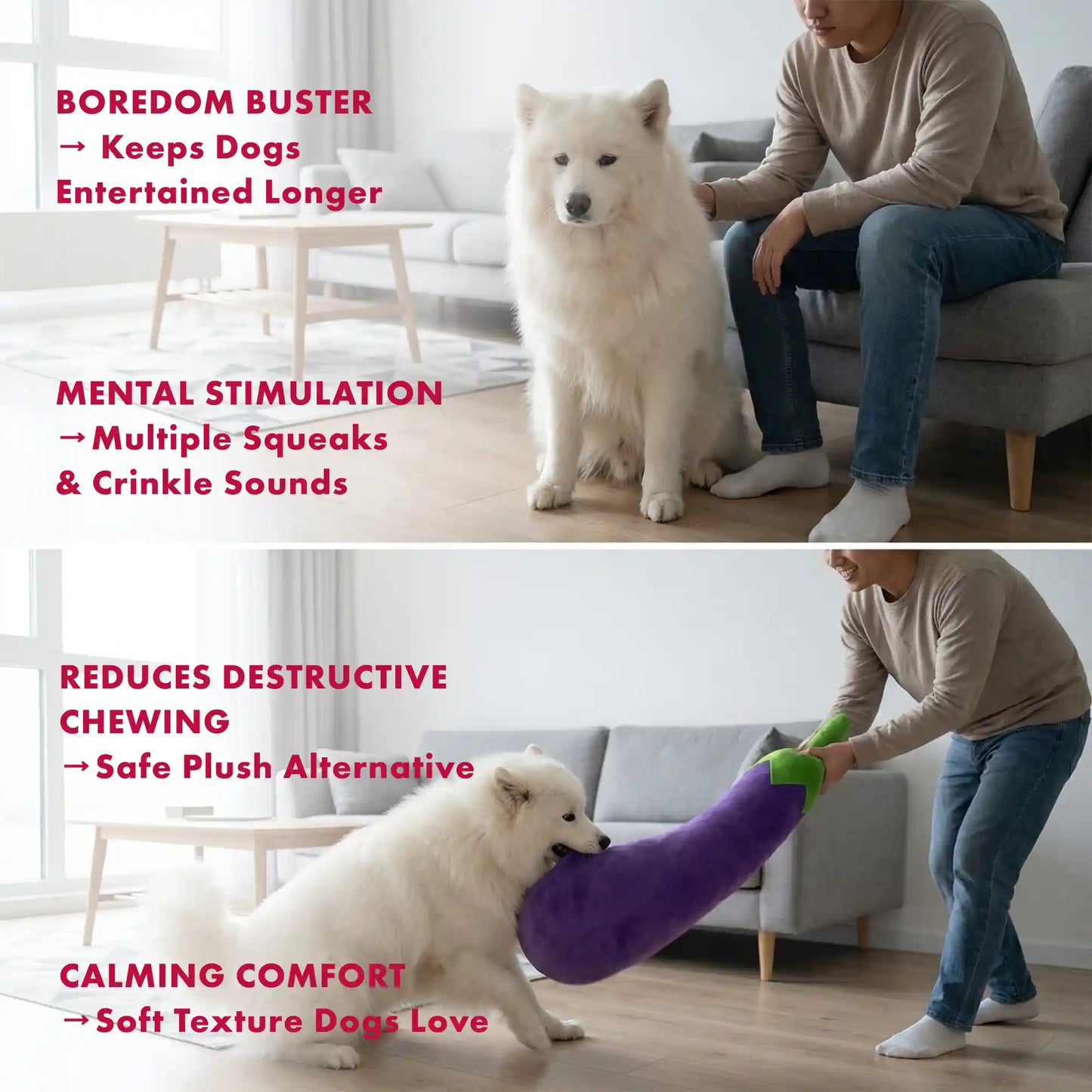 Eggplant plush dog toy