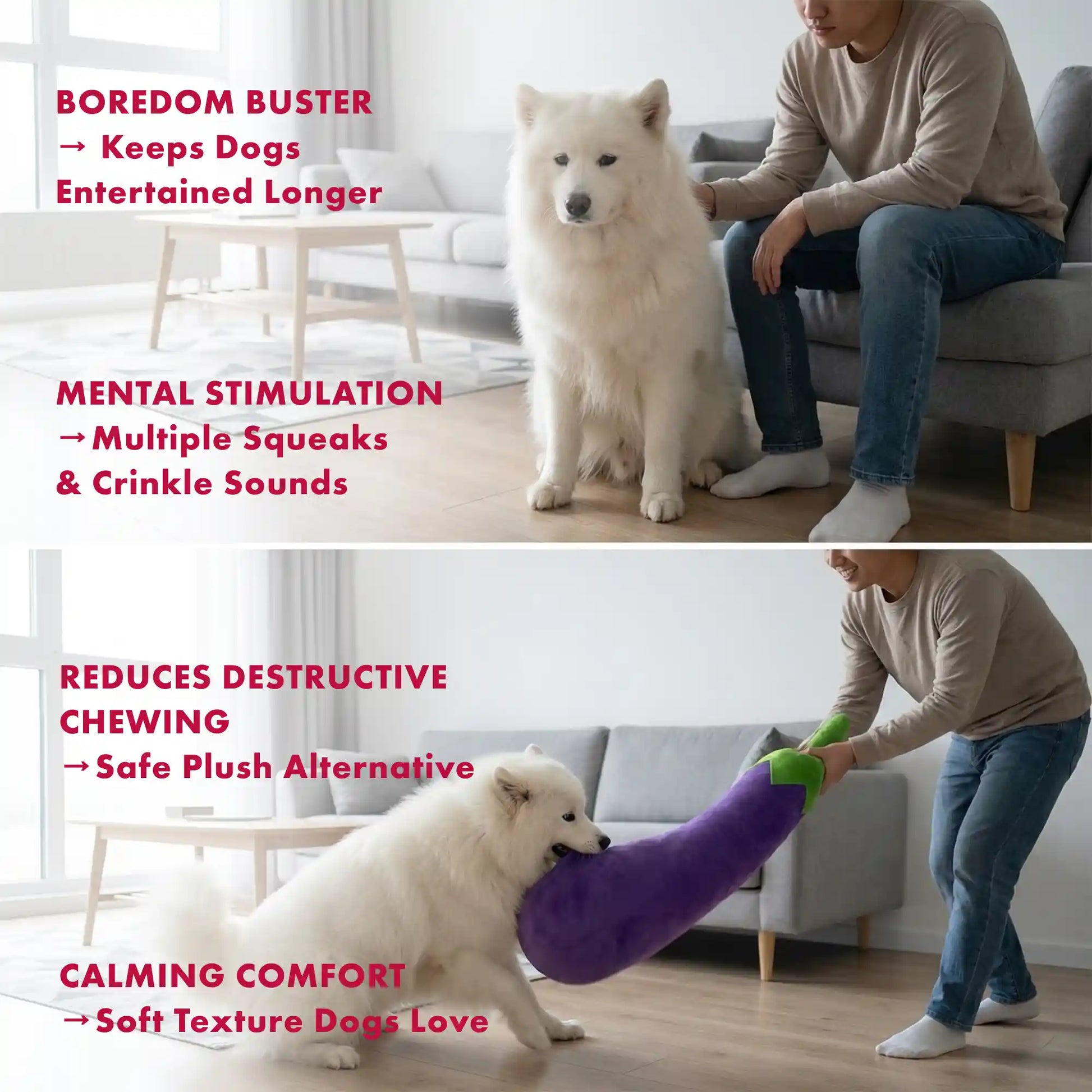 Eggplant plush dog toy