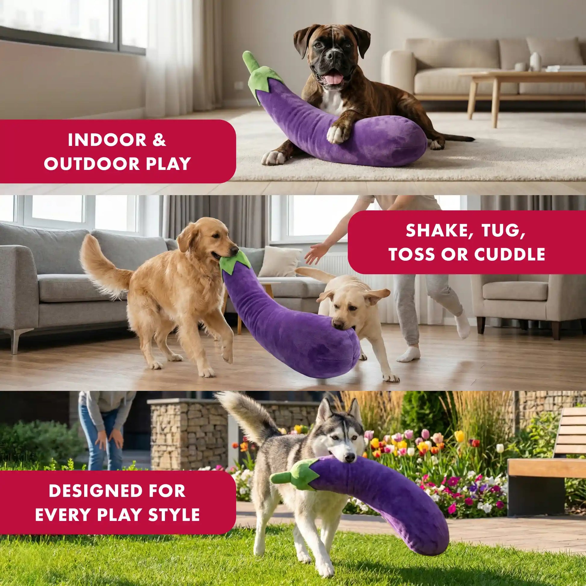 Eggplant plush dog toy