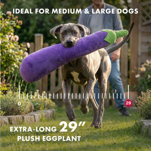 Eggplant plush dog toy