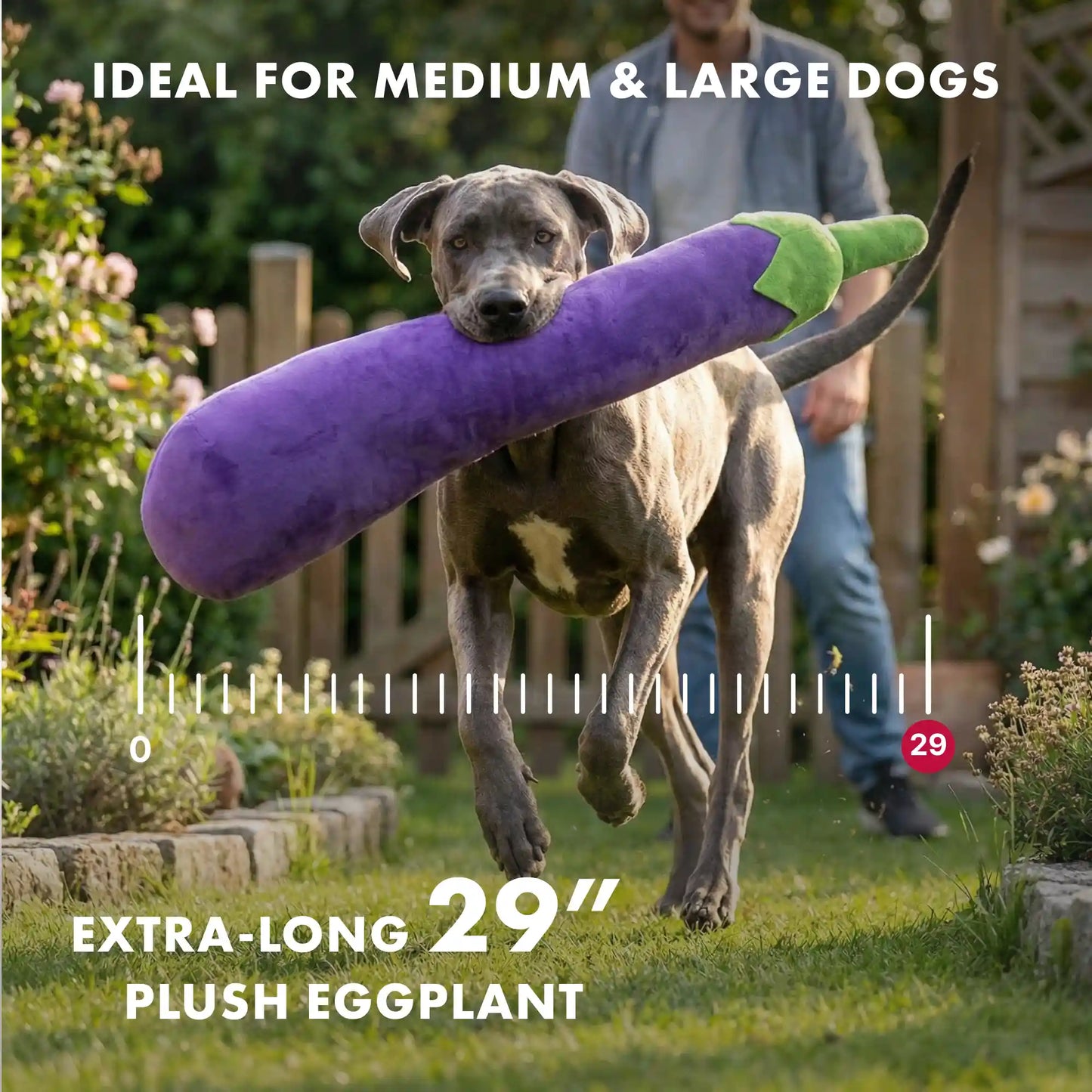 Eggplant plush dog toy