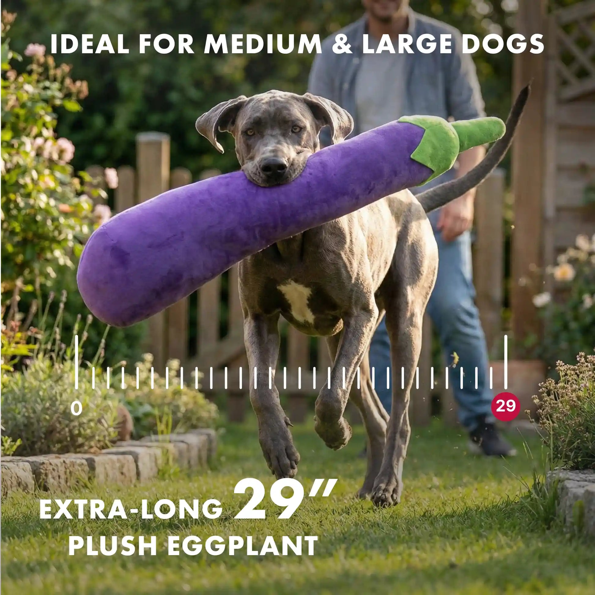Eggplant plush dog toy
