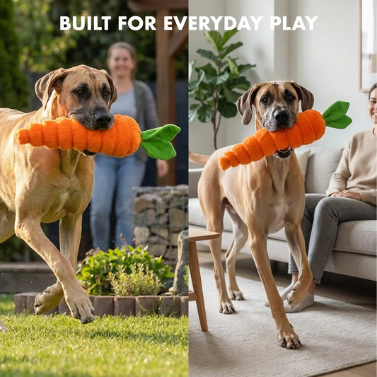 Carrot plush dog toy