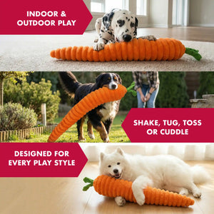 Large carrot dog toy