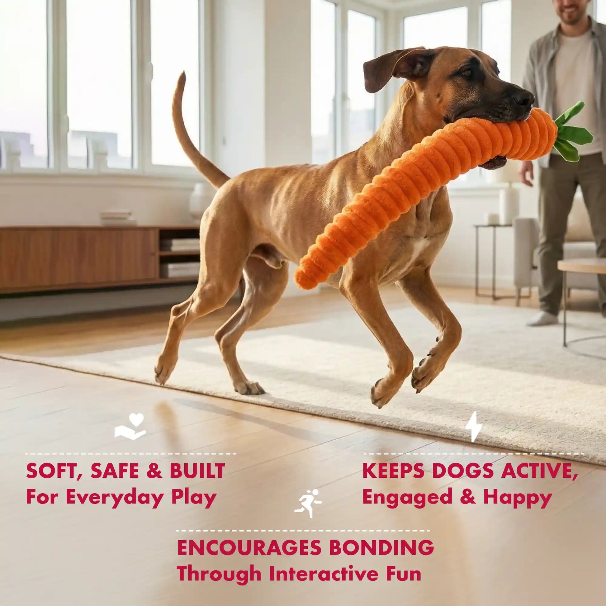 Large carrot dog toy