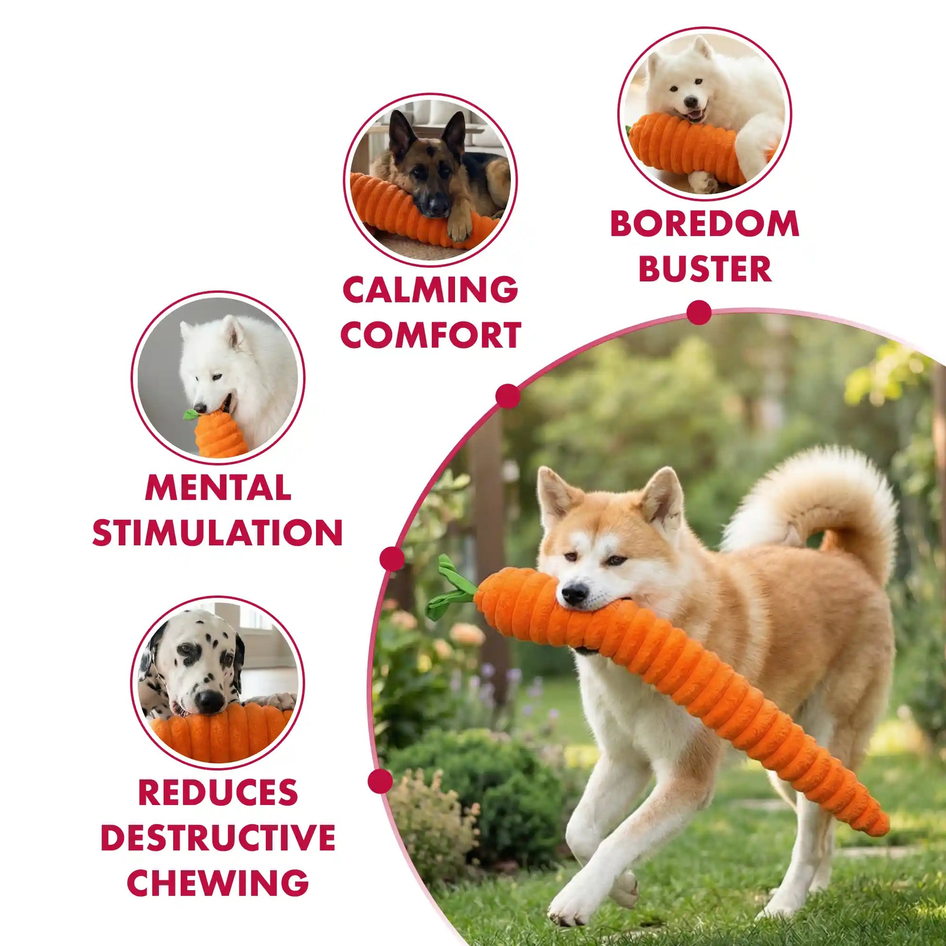 Large carrot dog toy