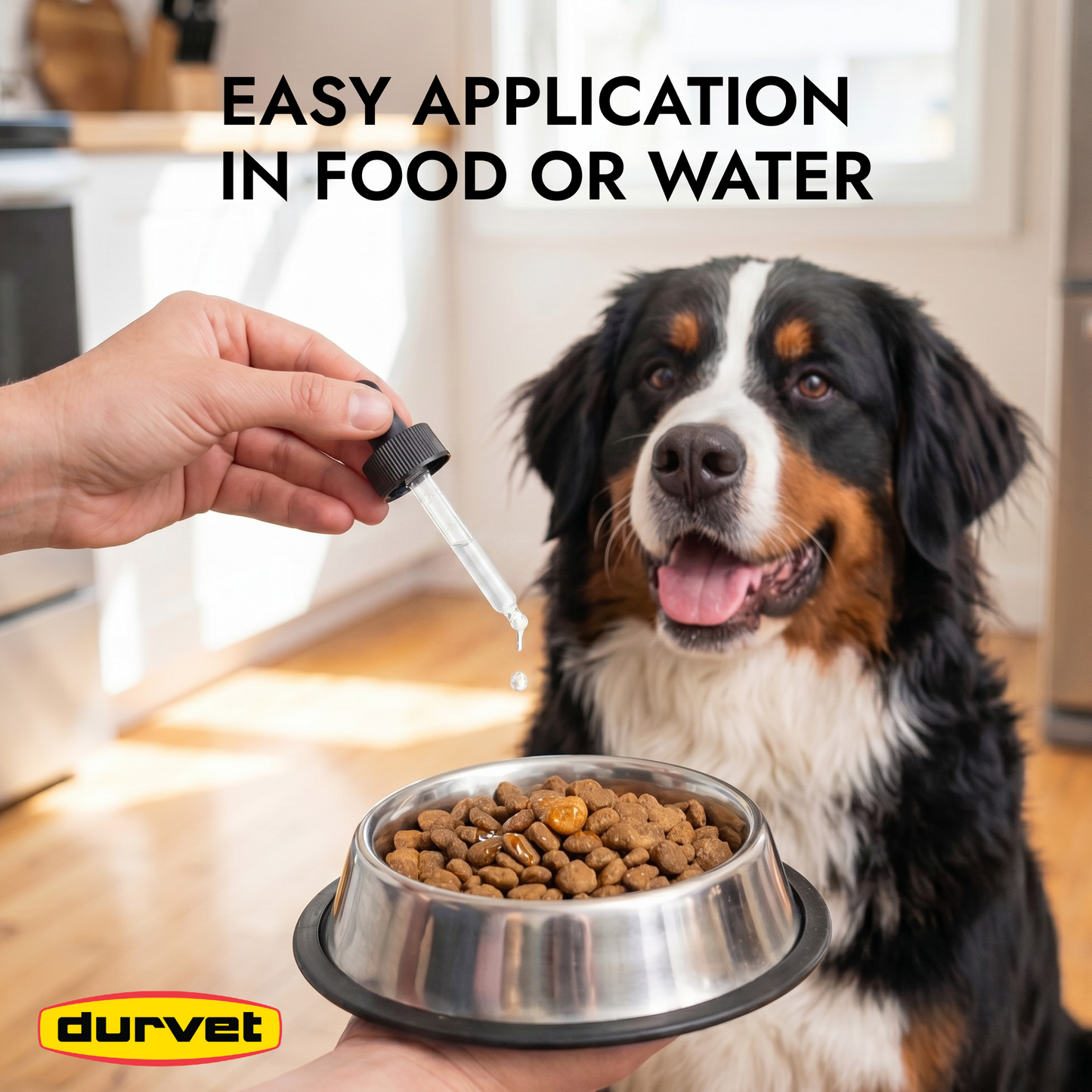 Durvet WormEze Liquid Pet Dewormer, Easy Roundworm Treatment for Dogs & Cats (8 oz)