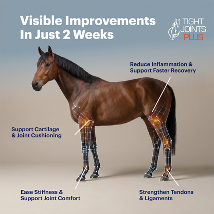 Tight Joints Plus Horse Joint Supplement with MSM, 8 LB