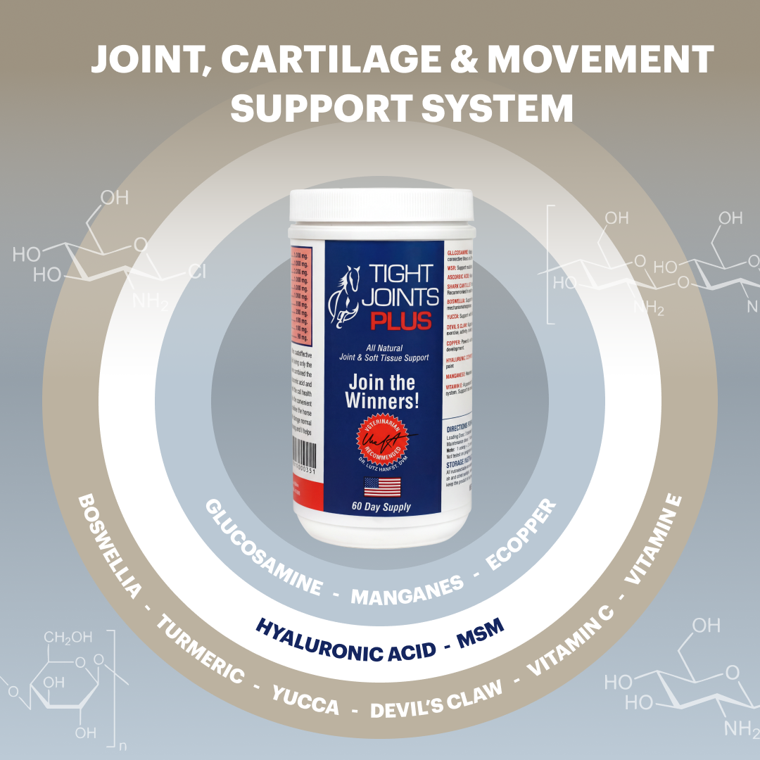 Tight Joints Plus Horse Joint Supplement with MSM, 2 LB