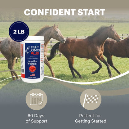 Tight Joints Plus Horse Joint Supplement with MSM, 2 LB