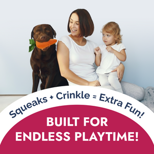 Dog playing with PetLou carrot plush squeaky dog toy