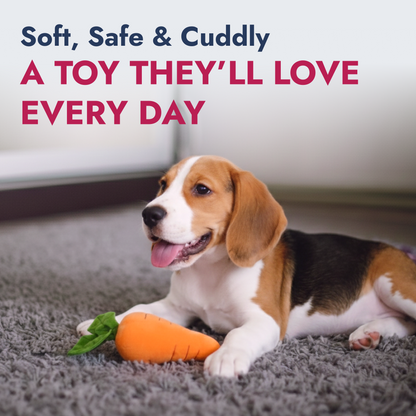 Dog playing with PetLou carrot plush squeaky dog toy