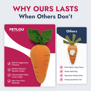 Dog playing with PetLou carrot plush squeaky dog toy