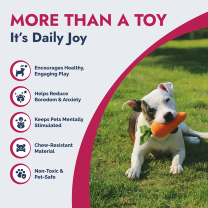Dog playing with PetLou carrot plush squeaky dog toy