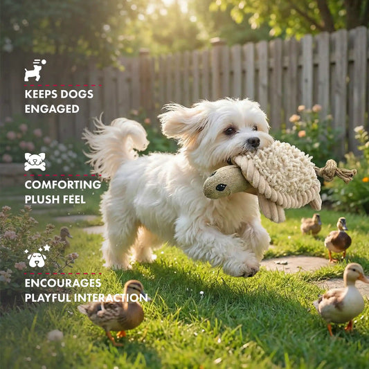 PetLou Natural Turtle Plush Dog Toy 6 Inch