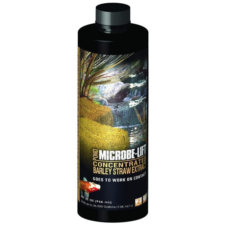 Microbe-Lift Barley Straw Concentrated Extract-Fish-Microbe-Lift-32 oz-