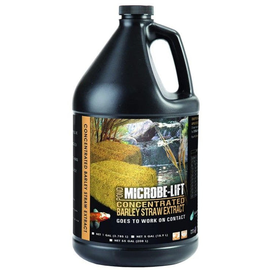 Microbe-Lift Barley Straw Concentrated Extract-Fish-Microbe-Lift-1 gallon-